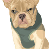 Illustration of a light brown French Bulldog wearing a dark green harness, facing forward with a neutral expression—perfect for creating a Custom Pet Drawing by Cover-Alls.