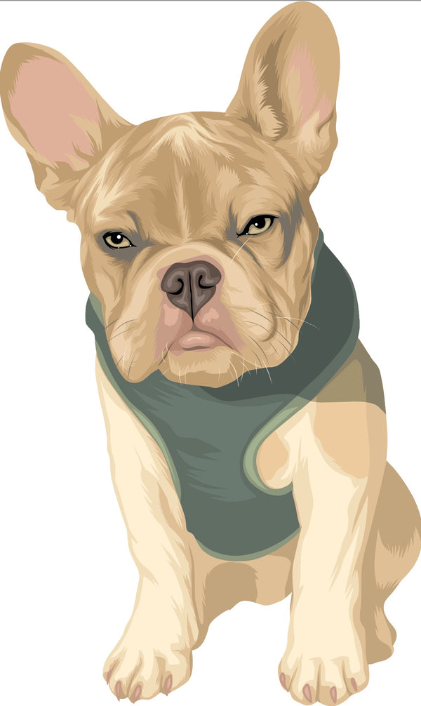 Illustration of a light brown French Bulldog wearing a dark green harness, facing forward with a neutral expression—perfect for creating a Custom Pet Drawing by Cover-Alls.