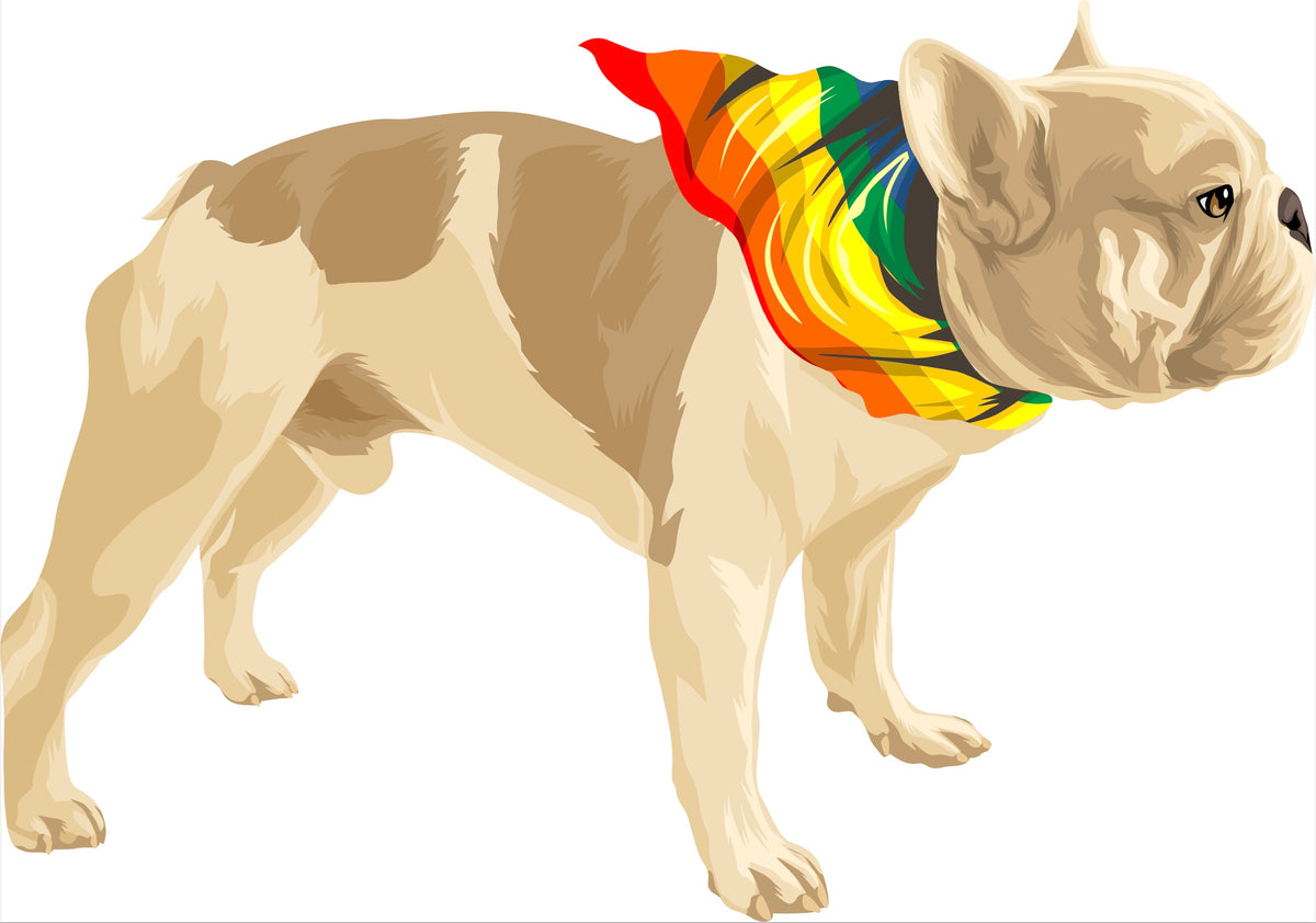 Illustration of a light brown French Bulldog standing with a multi-colored bandana around its neck, perfect for a Custom Pet Drawing by Cover-Alls.