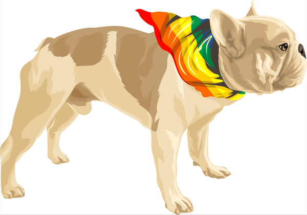 Illustration of a light brown French Bulldog standing with a multi-colored bandana around its neck, perfect for a Custom Pet Drawing by Cover-Alls.