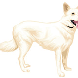 Illustration of a standing white dog with pointed ears, fluffy tail, and black collar, facing right with its tongue out—featured in the Custom Pet Drawing by Cover-Alls.