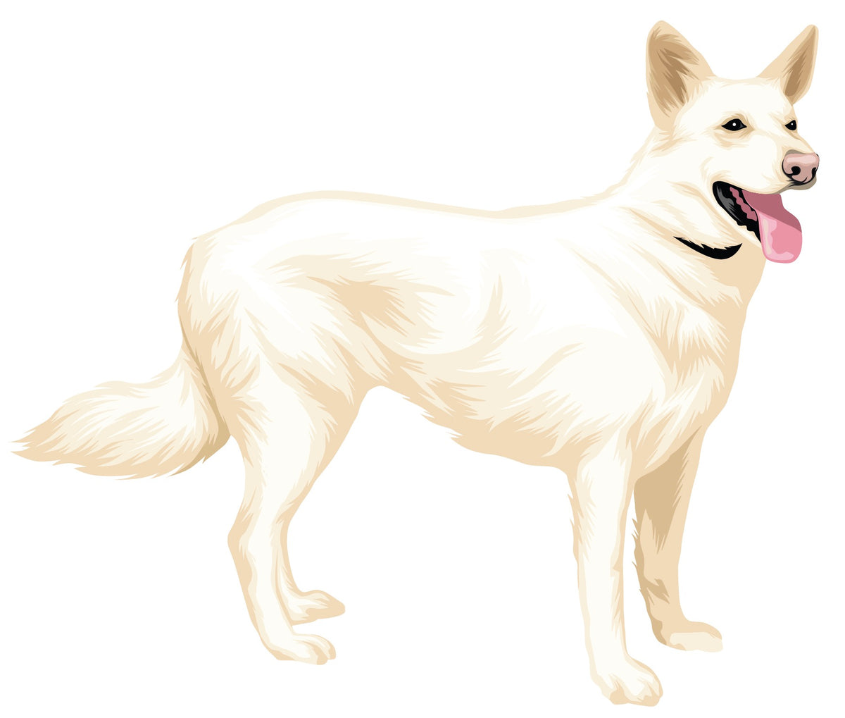 Illustration of a standing white dog with pointed ears, fluffy tail, and black collar, facing right with its tongue out—featured in the Custom Pet Drawing by Cover-Alls.
