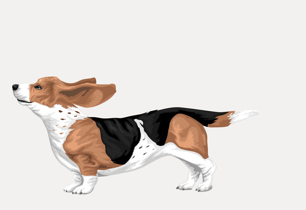Illustration of a tricolor Beagle dog standing with ears flapping back, as if in motion, perfect for custom pet illustration requests or personalized pet products like Custom Pet Drawing by Cover-Alls.