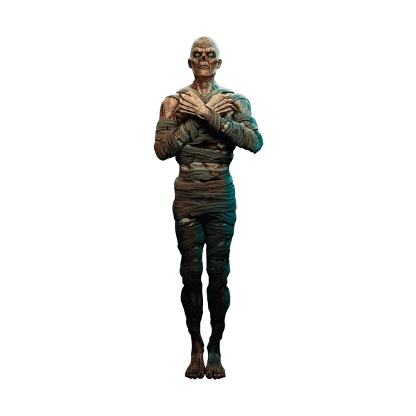 Egyptian Guard Mummy Zombie - Cover-Alls Decals