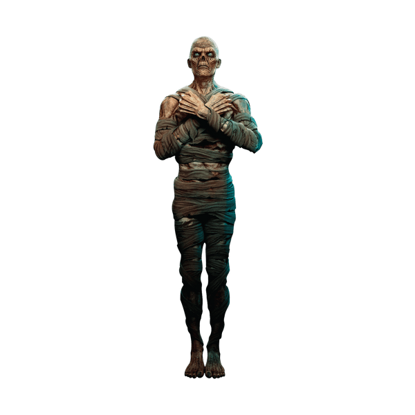 A Egyptian Guard Mummy Zombie with crossed arms and visible skeletal features against a plain green background, perfect as Halloween decor by Cover-Alls.