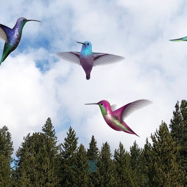 Free Sample Hummingbird Decal <br>(just $1 shipping) - Cover-Alls Decals
