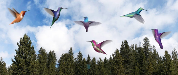 Free Sample Hummingbird Decal <br>(just $1 shipping) - Cover-Alls Decals