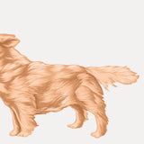 Illustration of a golden retriever standing and looking upward, with its mouth open and tongue out. The dog has a wavy, golden coat of fur. Perfect for a Cover-Alls Custom Pet Drawing or adding to your collection of personalized pet products.