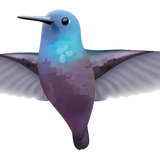 Hummingbird Decals - Cover-Alls Decals