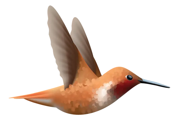 Hummingbird Decals - Cover-Alls Decals