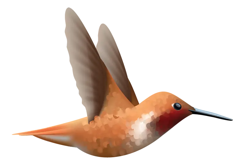 Hummingbird Decals - Cover-Alls Decals