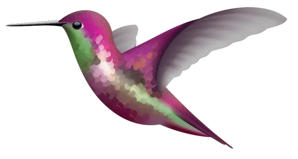 Hummingbird Decals - Cover-Alls Decals