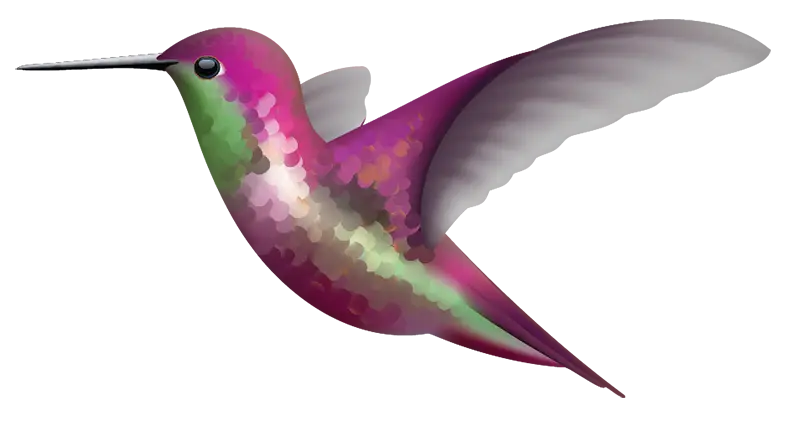 Hummingbird Decals - Cover-Alls Decals