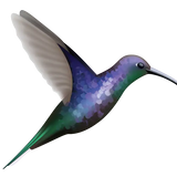 Hummingbird Decals - Cover-Alls Decals
