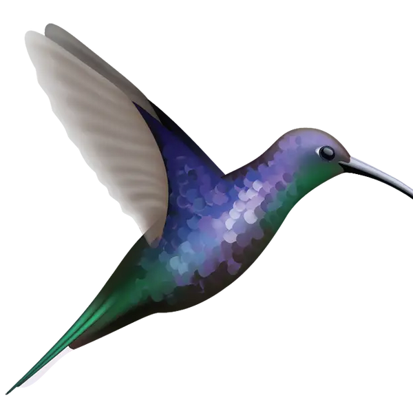 Hummingbird Decals - Cover-Alls Decals