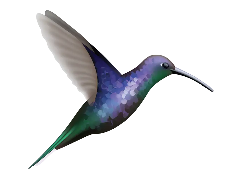 Hummingbird Decals - Cover-Alls Decals