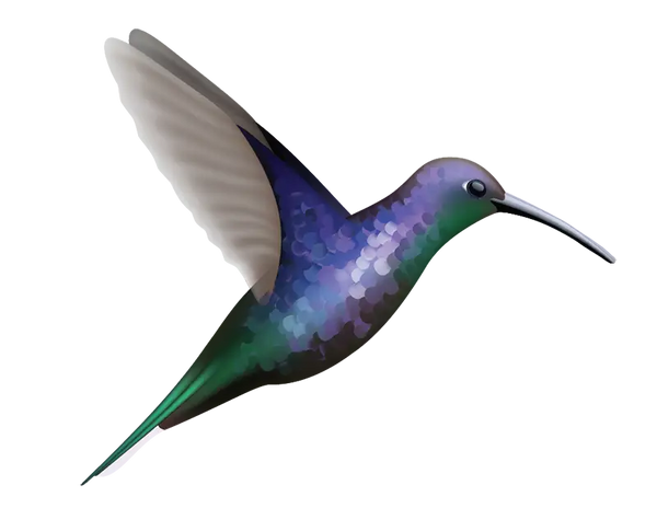 Hummingbird Decals - Cover-Alls Decals