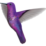 Hummingbird Decals - Cover-Alls Decals