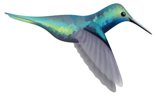 Hummingbird Decals - Cover-Alls Decals