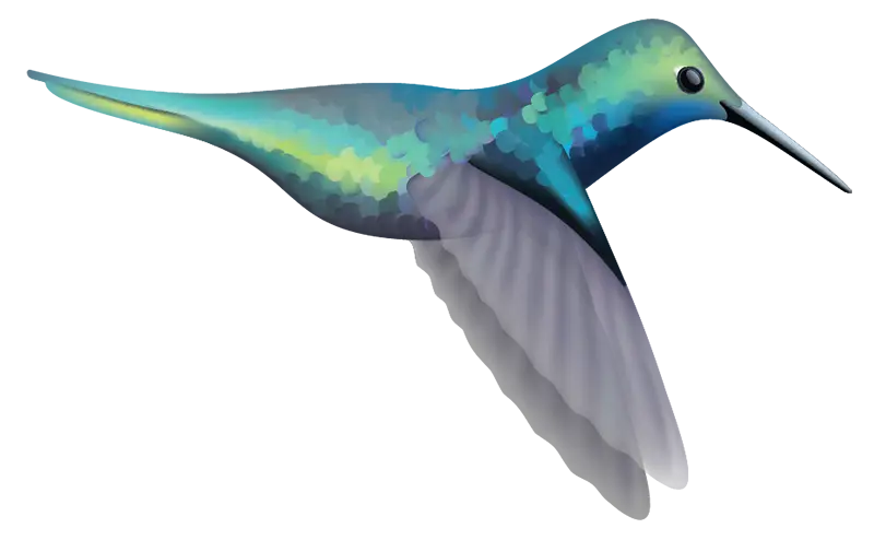 Hummingbird Decals - Cover-Alls Decals