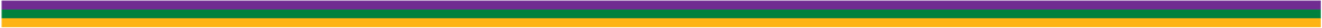 Mardi Gras Stripe Decal - Cover-Alls Decals