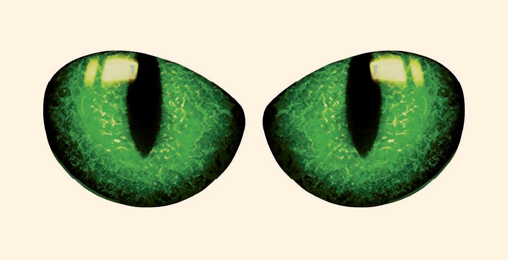 Pair of Cat Eye Decals - Cover-Alls Decals