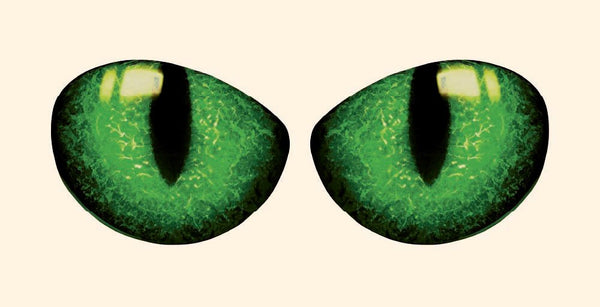 Pair of Cat Eye Decals - Cover-Alls Decals