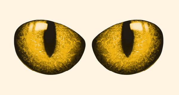 Pair of Cat Eye Decals - Cover-Alls Decals