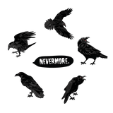 Red-Eyed Ravens - Cover-Alls Decals