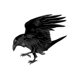 Red-Eyed Ravens - Cover-Alls Decals