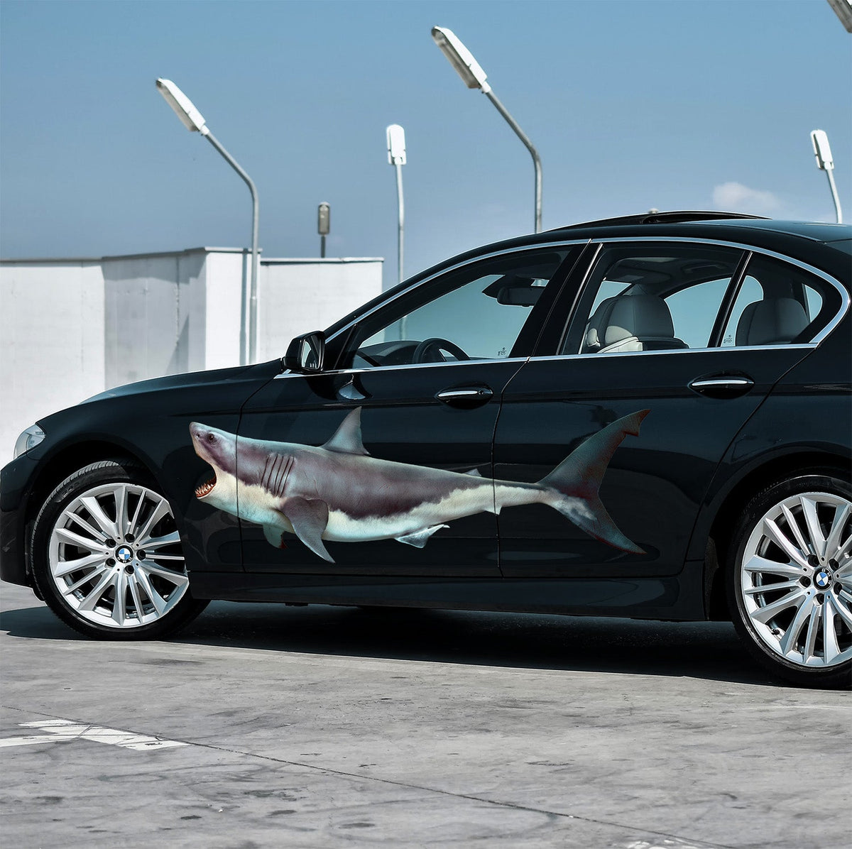 Scary Shark Decals - Cover-Alls Decals