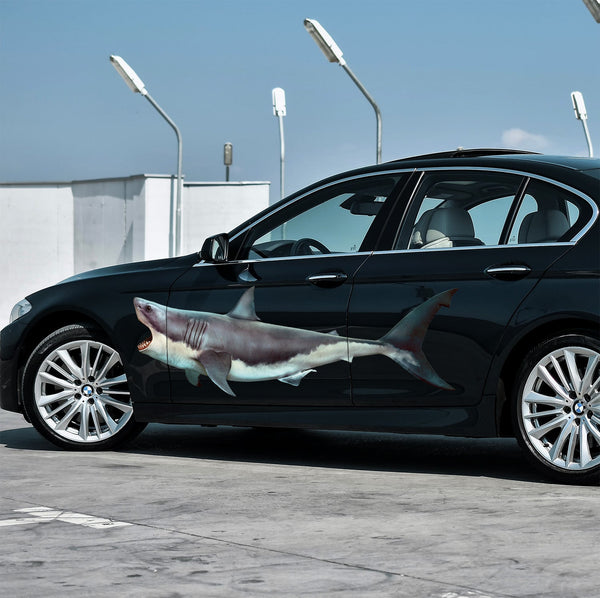 Scary Shark Decals - Cover-Alls Decals