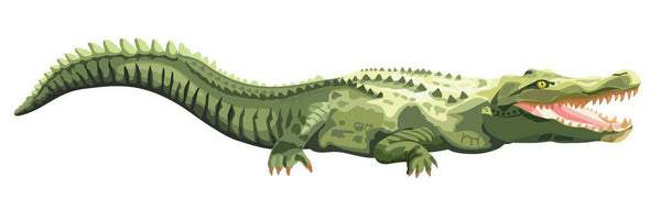Alligator Decal - Cover-Alls Decals