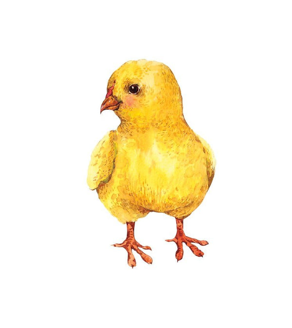 Baby Chick Decals - Cover-Alls Decals