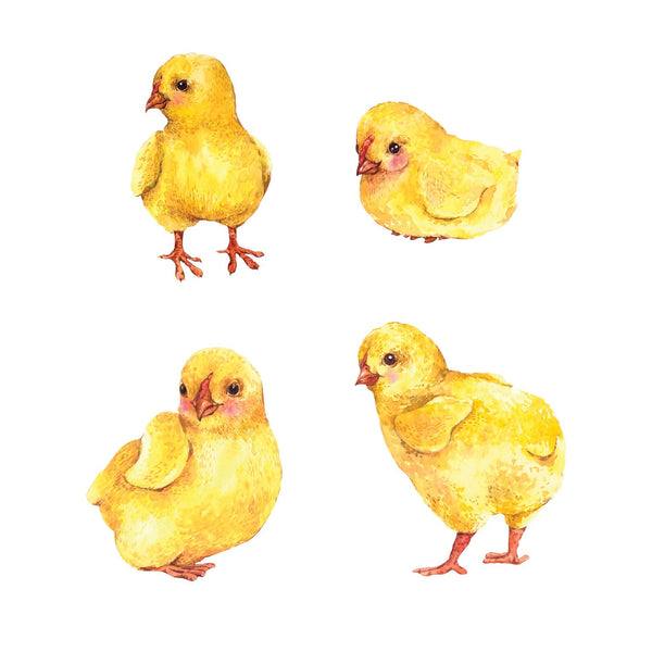 Baby Chick Decals - Car Floats Reusable Car Decals