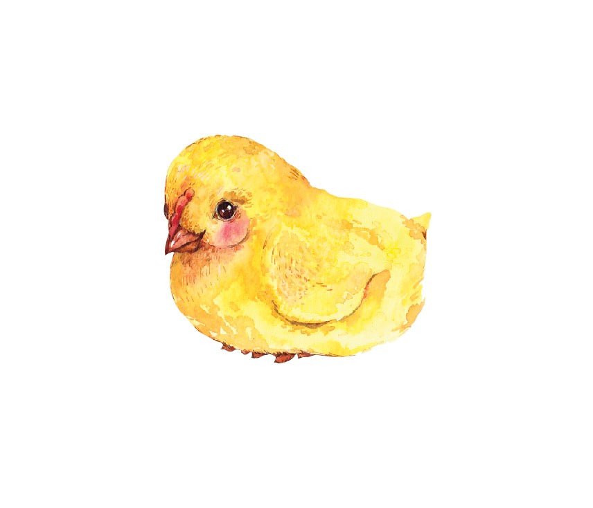 Baby Chick Decals - Cover-Alls Decals
