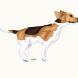 Life-Sized Beagle Decal - Cover-Alls Decals