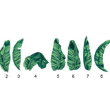 Bird of Paradise Leaf Decals - Cover-Alls Decals