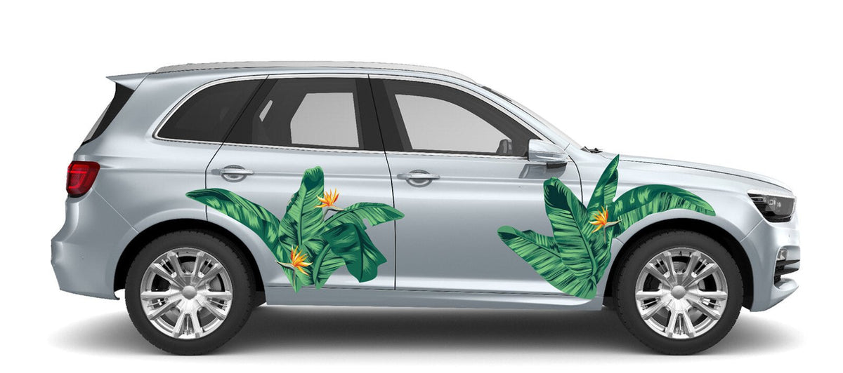 Bird of Paradise Leaf Decals - Cover-Alls Decals