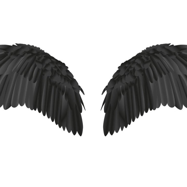 Black Wings - Cover-Alls Decals