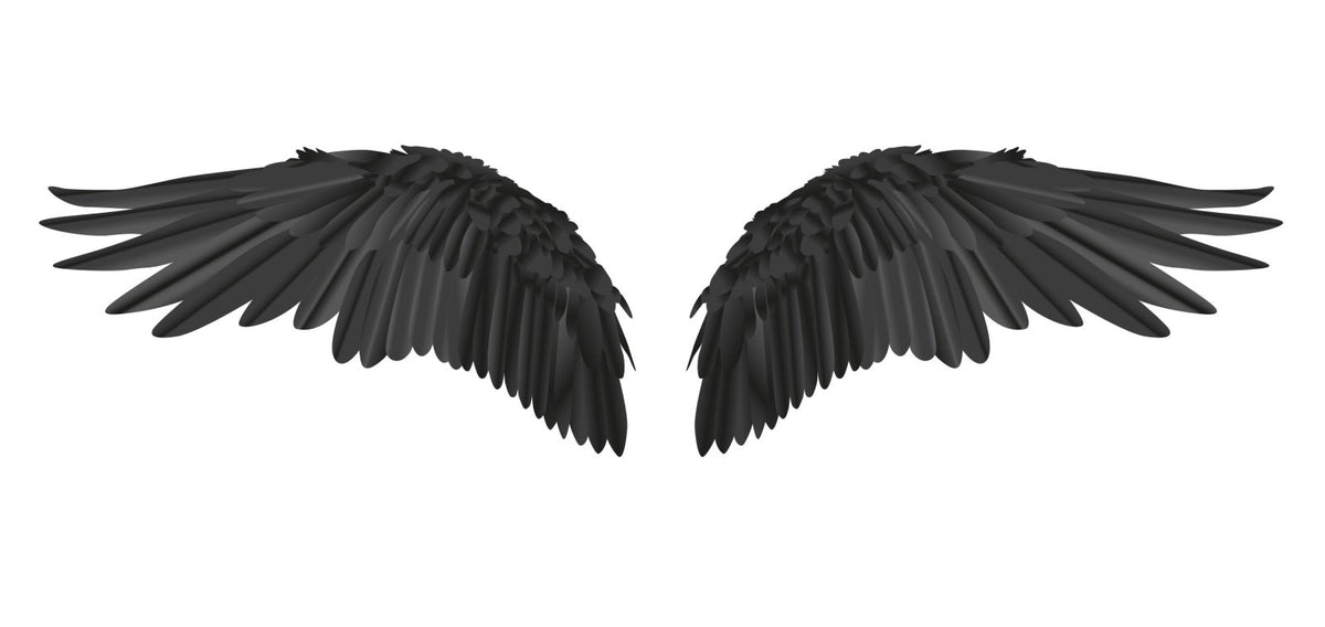 Black Wings - Cover-Alls Decals