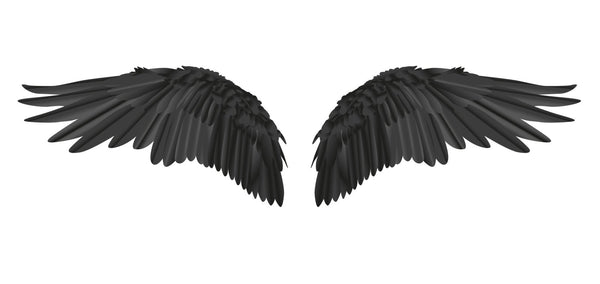 Black Wings - Cover-Alls Decals