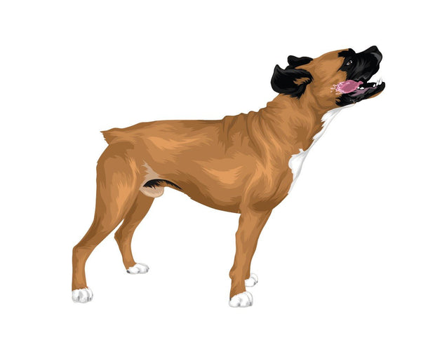 Life-Sized Boxer Decal - Cover-Alls Decals