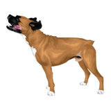 Life-Sized Boxer Decal - Cover-Alls Decals
