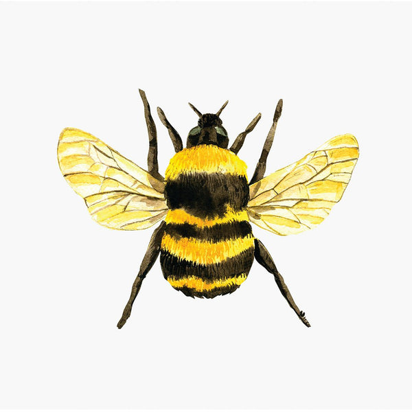 Bumble Bee Decal - Cover-Alls Decals