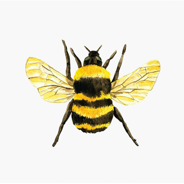 Bumble Bee - Car Floats Reusable Car Decals