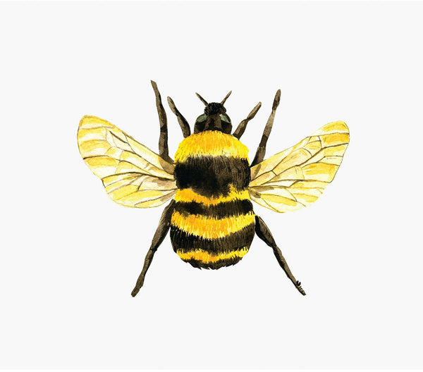 Bumble Bee Decal - Cover-Alls Decals