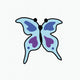 Small blue butterfly