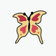 Small yellow butterfly