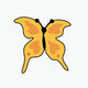 Large yellow butterfly